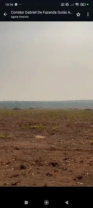 Fazenda arrendamento 2.000 hect em Paranatinga MT. prontos para plantio 14 mil sacas