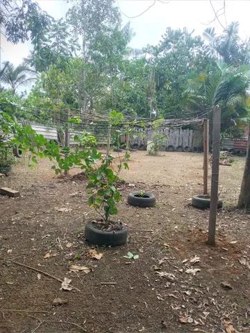 Captação de Casa para locação na Rua Itambé, Novo Aleixo, Manaus, AM