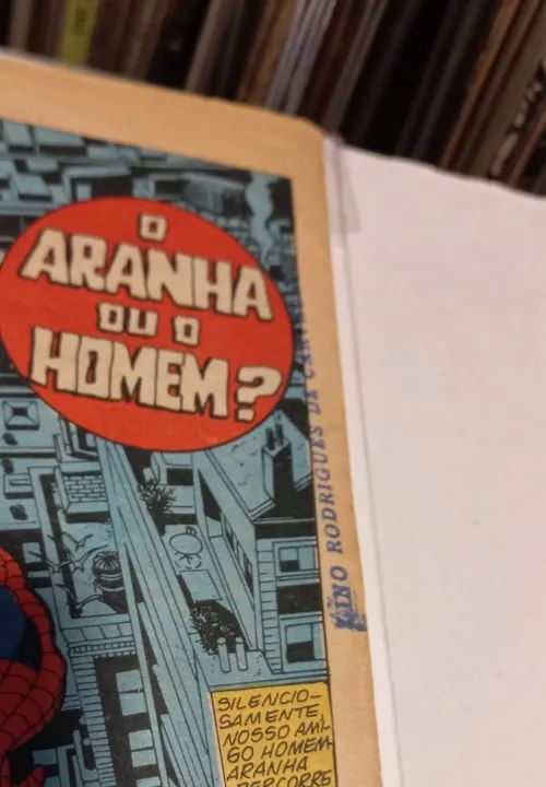 HQ Aranha RGE - Foto 2