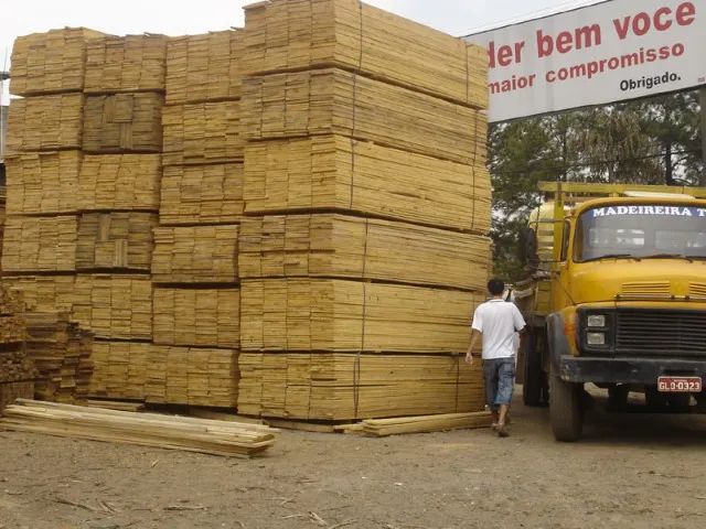 Tabuas de Pinus e Pontaletes de Pinus para Construção - Foto 3