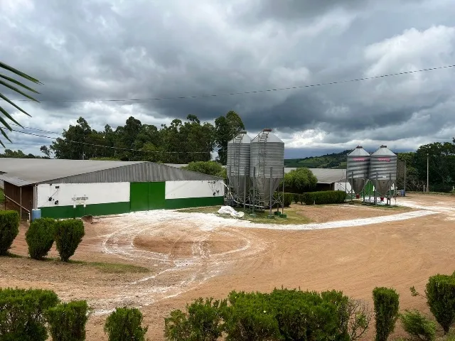 3 aviários Dark House- Total 95 mil aves- Casas, Trator, Energia Solar, 5 km da cidade