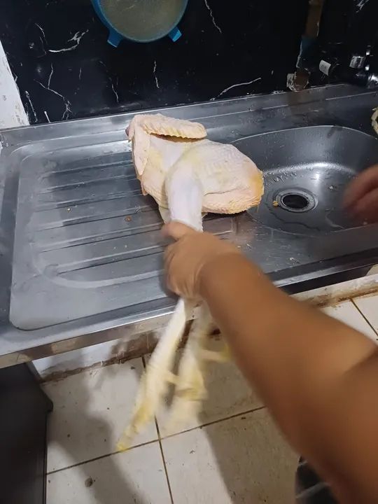 Frango caipira - Foto 5