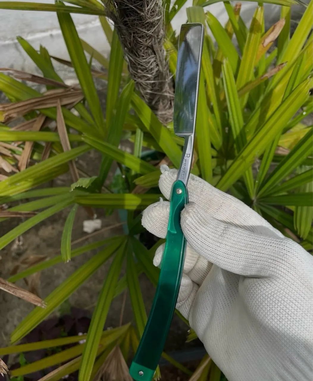 Navalha Bengal Wedge