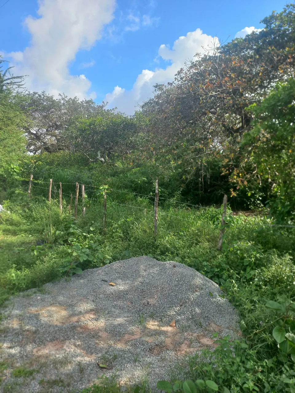 Sítio parque jair