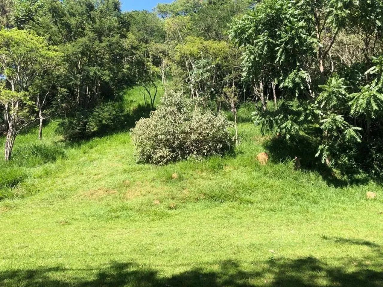 Terreno à venda com 1.126,00 m² no Colinas do Ermitage (Sousas), Campinas - Foto 3