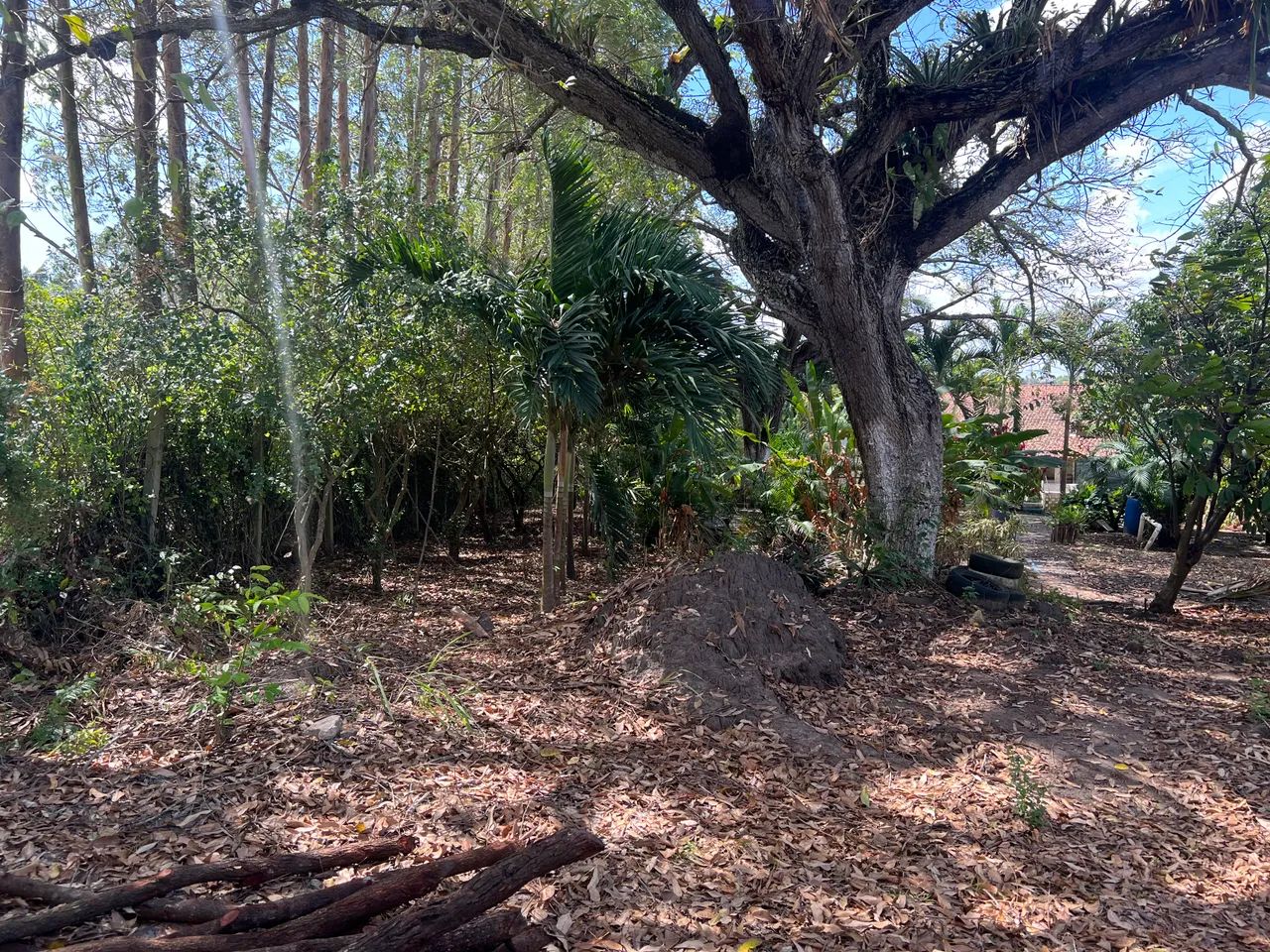 Chácara no Povoado Tabocas - Socorro *