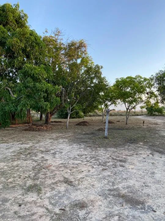 Sítio com casa, igarapé próprio e açude no Bom Intento - Foto 14