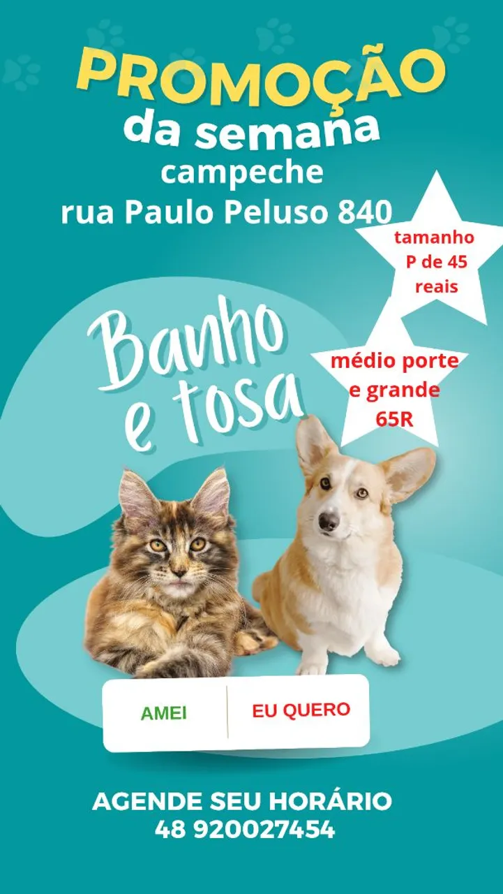 Promoção Banho e Tosa - Campeche /domiciliaria
