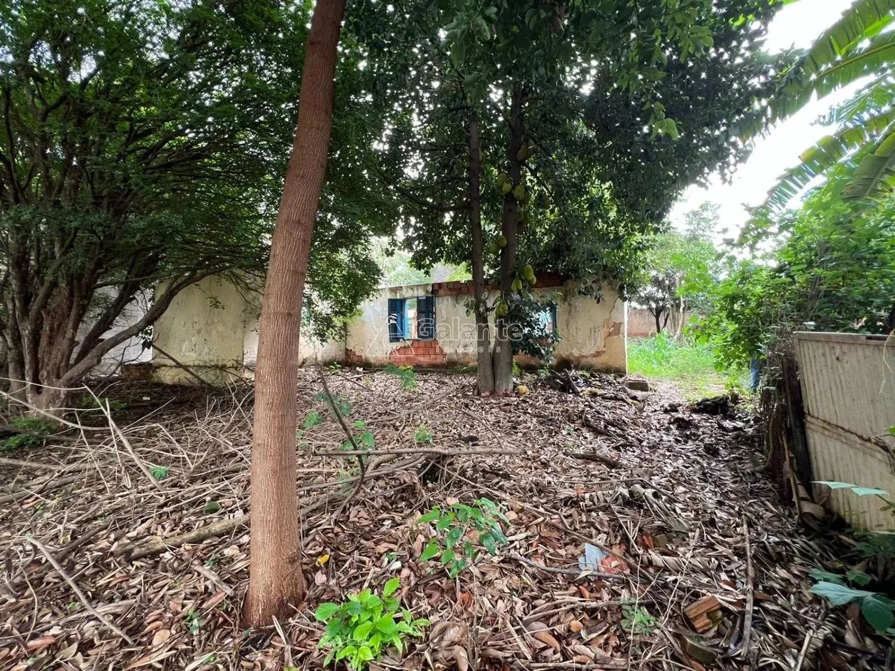 terreno - Chácara Boa Vista - Campinas - Foto 4