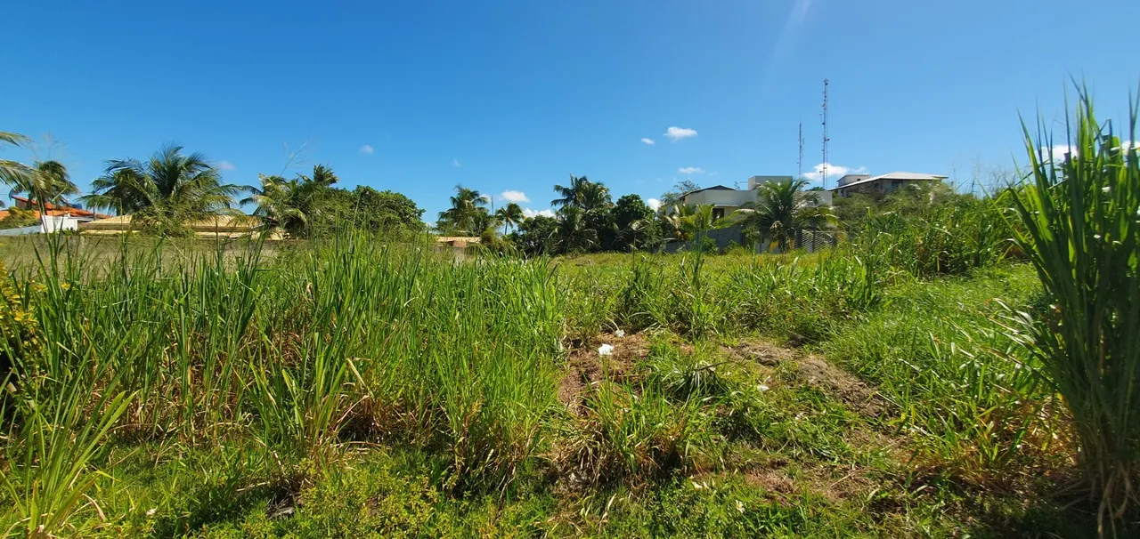 Terreno Nascente de 1.475m² no Condomínio Alto de Jauá Viva o Melhor do Litoral Norte!