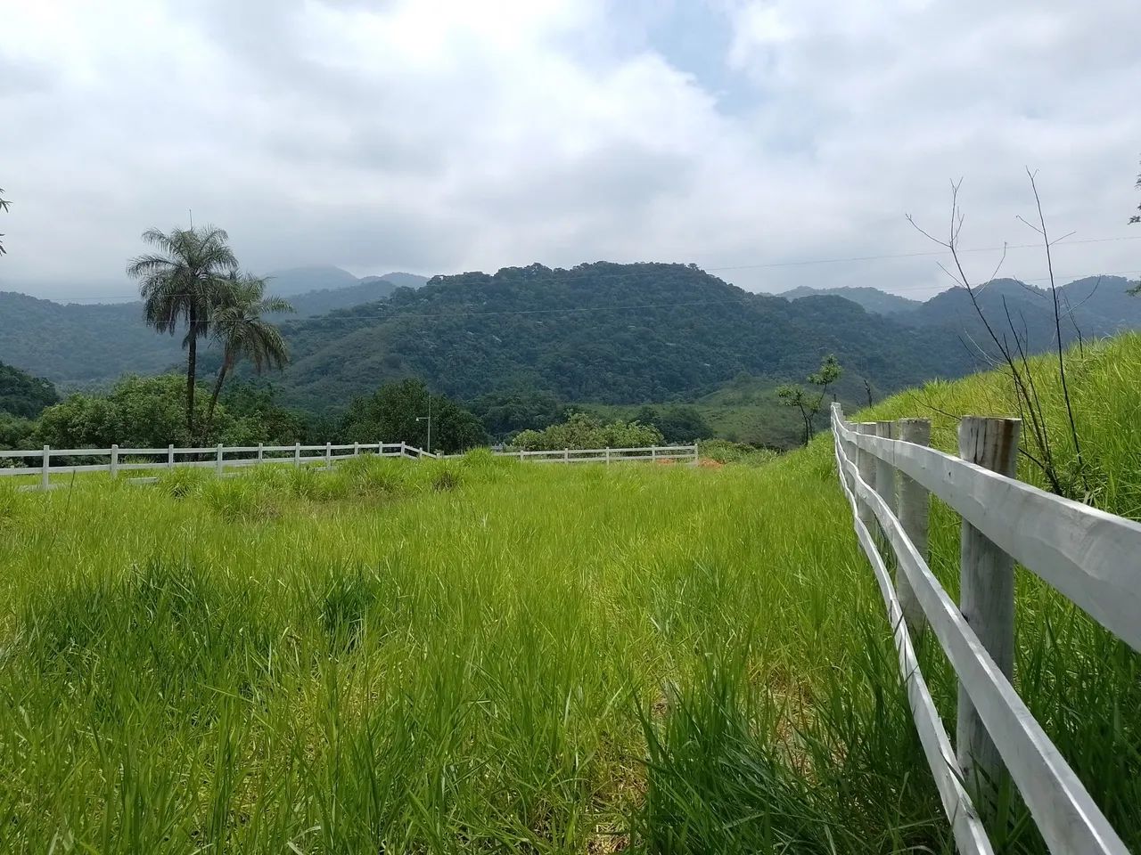 Vende-se chácara em XERÉM com 1mil M2, loteamento com apenas 9 chácaras.  - Foto 5