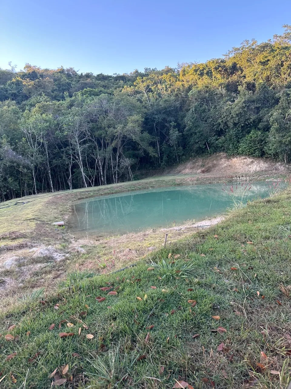 Chácara Aragoiânia Riquíssima em Água