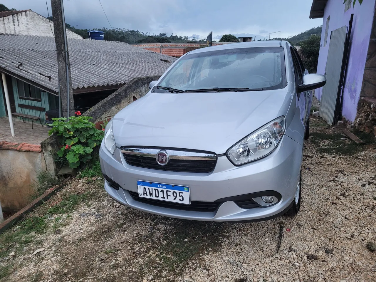 Vendo gran siena e versa