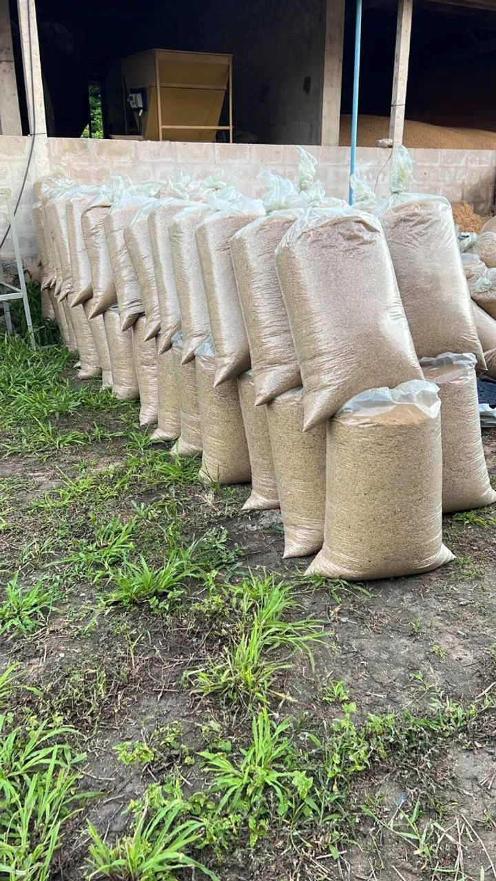 Palha de Arroz - Animais e Jardinagem - Saco 10Kg - Foto 2