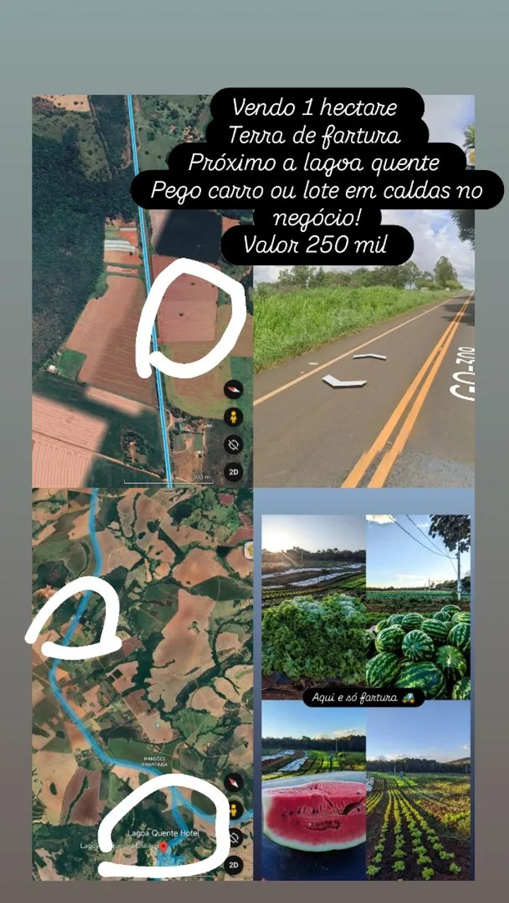 1 hectare de Terra próximo a lagoa quente