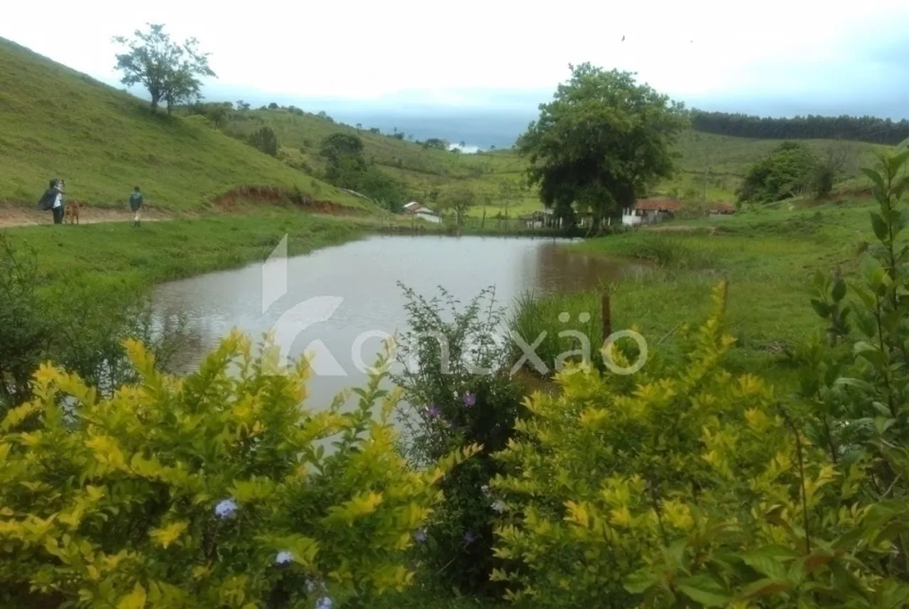 Sítio Rural à Venda em Canaã Jambeiro/SP