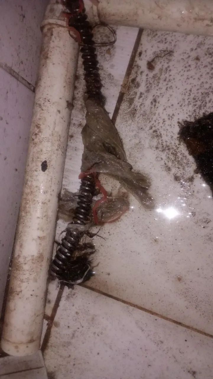 Desentupimento de pias e ralos.