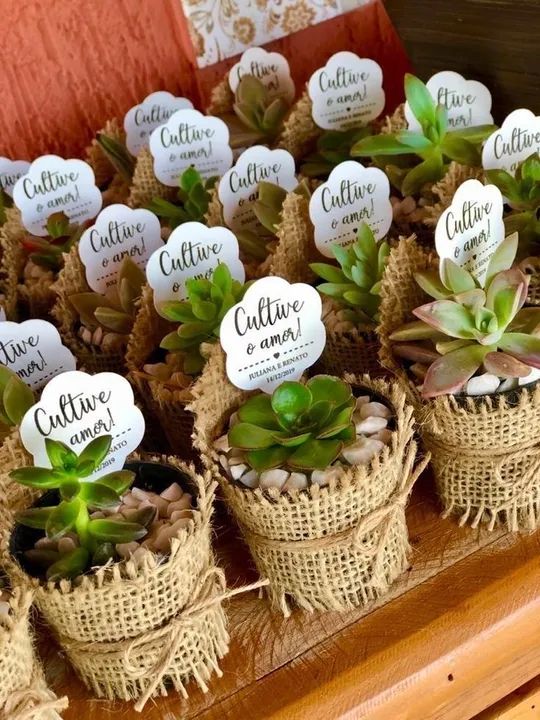 Lembrancinhas de Suculentas personalizadas  - Foto 2