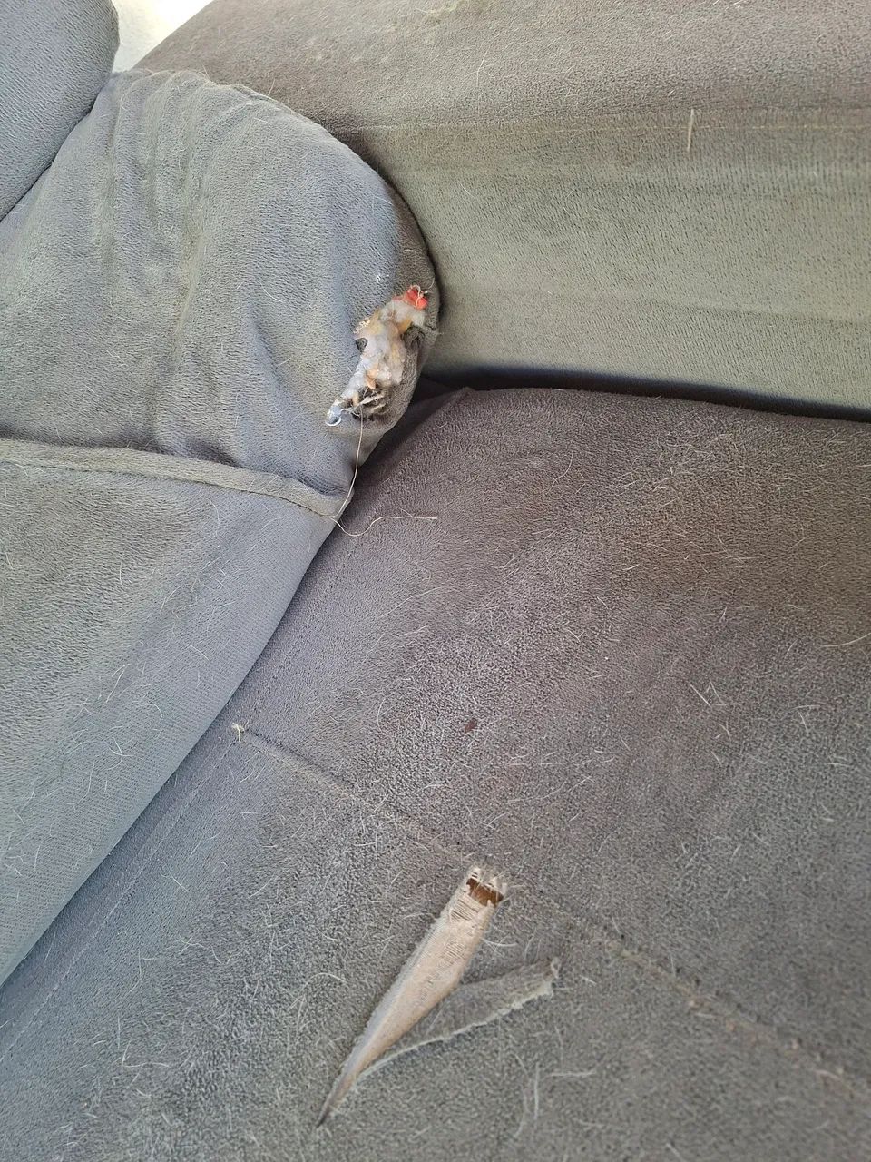 Sofá Retrátil  - Foto 2