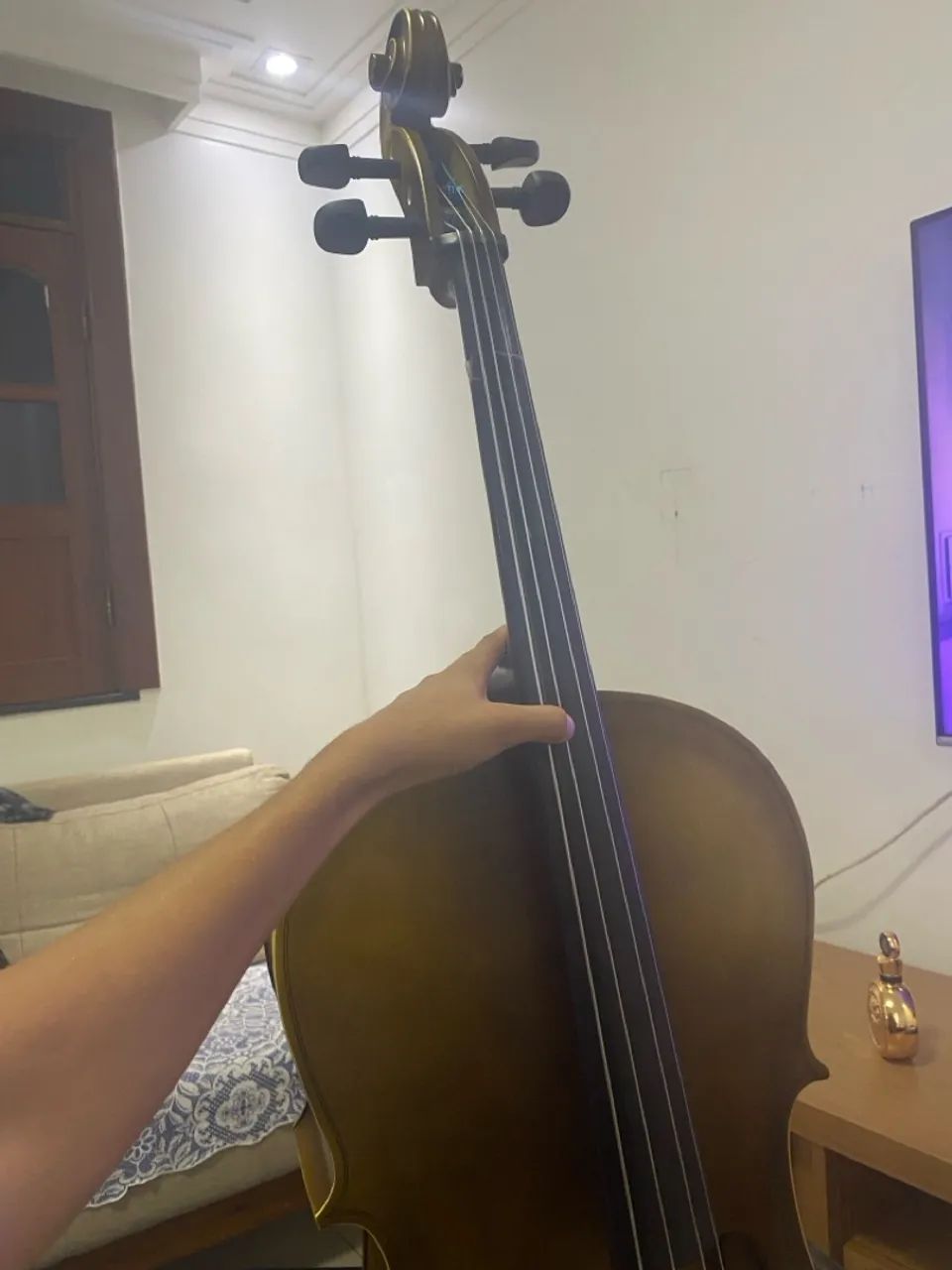 Violoncelo