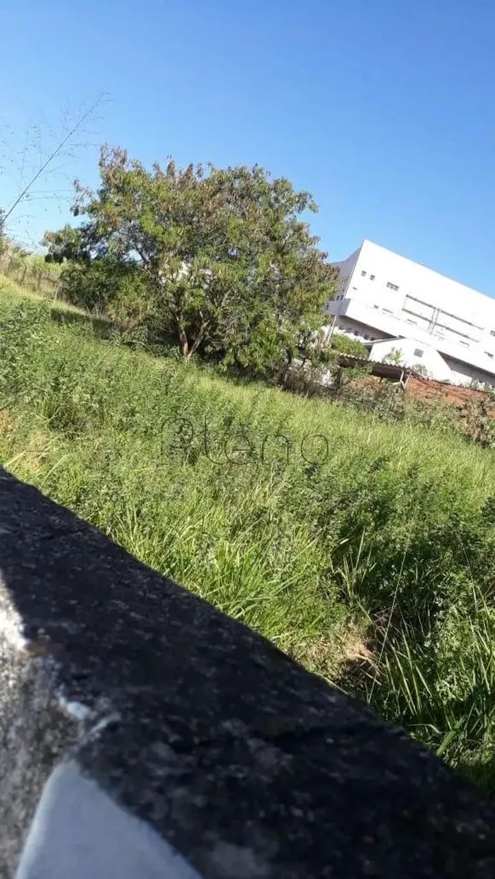 Terreno à venda e para alugar em Campinas, Jardim Conceição (Sousas), com 1445 m² - Foto 2