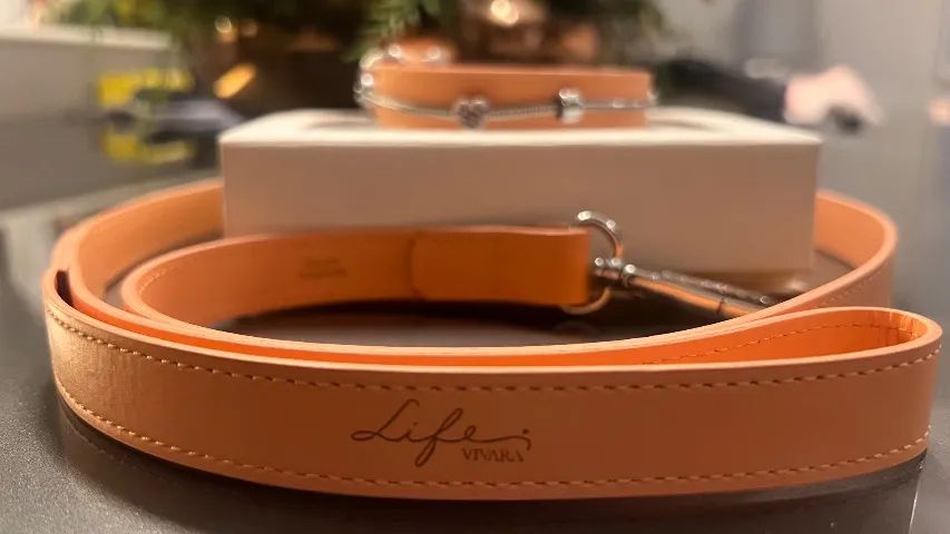 Coleira/Guia LIFE VIVARA  - Foto 4