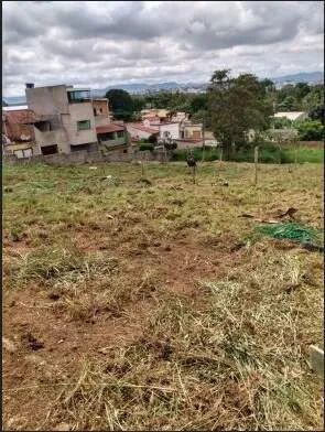 Lote de 360 m² no Bairro Trevo.