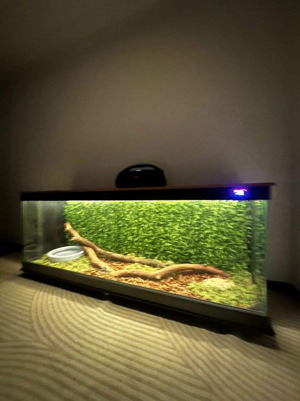 Terrario - Foto 5