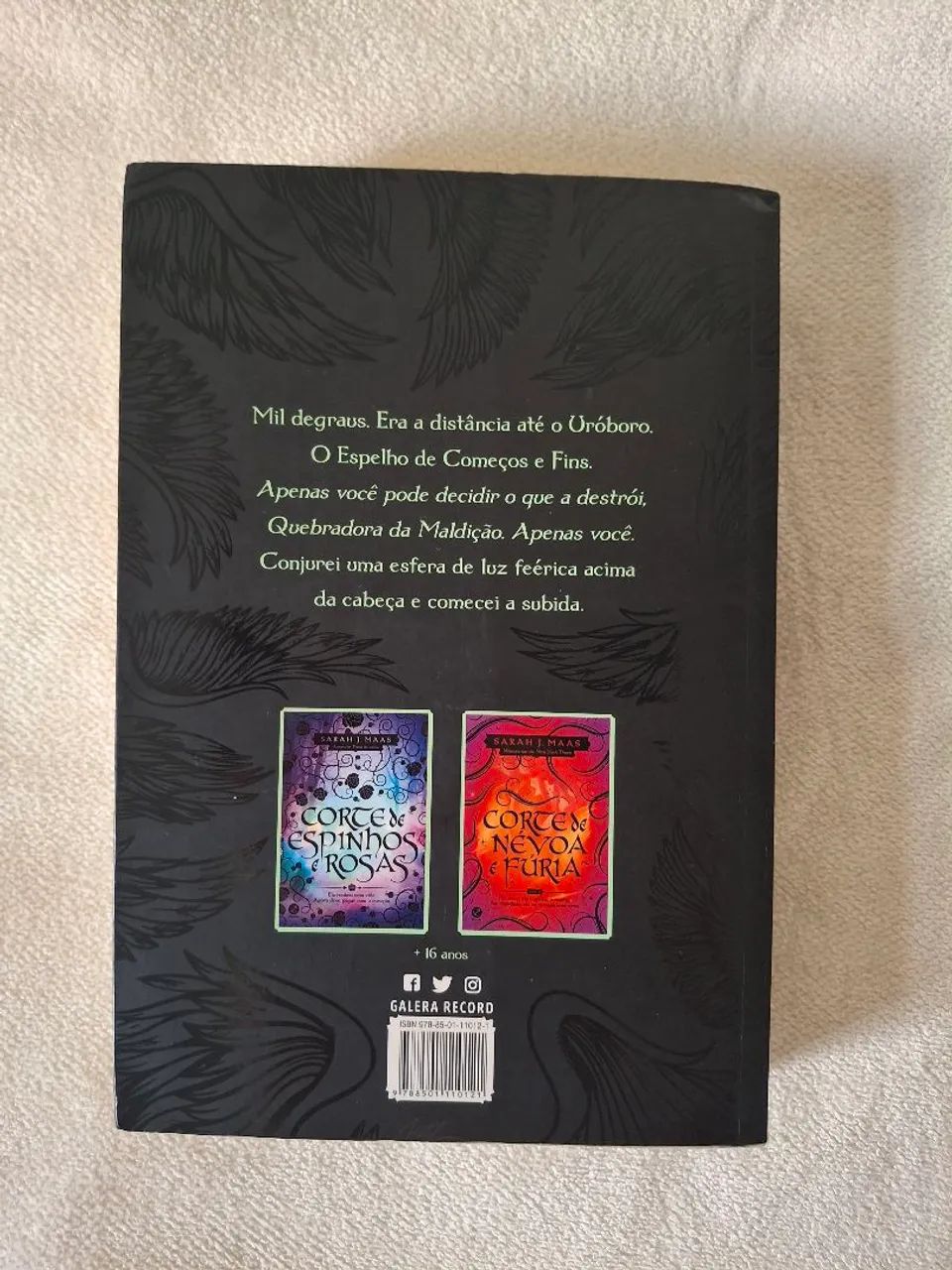 Corte de asas e ruínas livro acotar - Foto 2