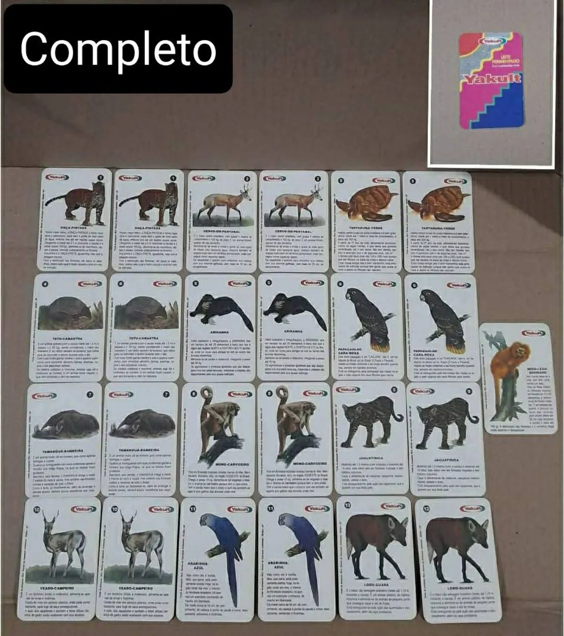 Jogo da memória Yakult dos anos 90