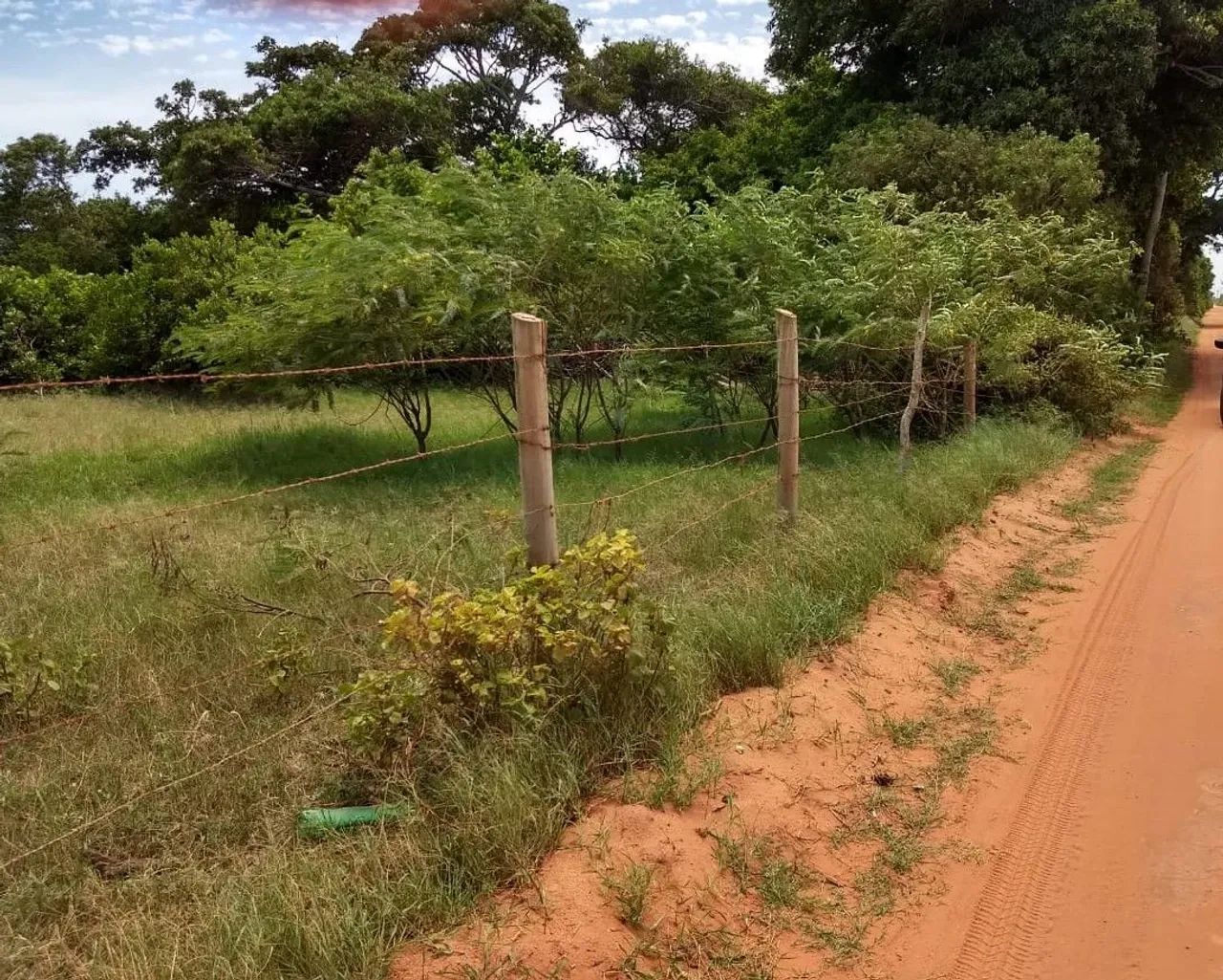 Terreno em Grussaí - Foto 4