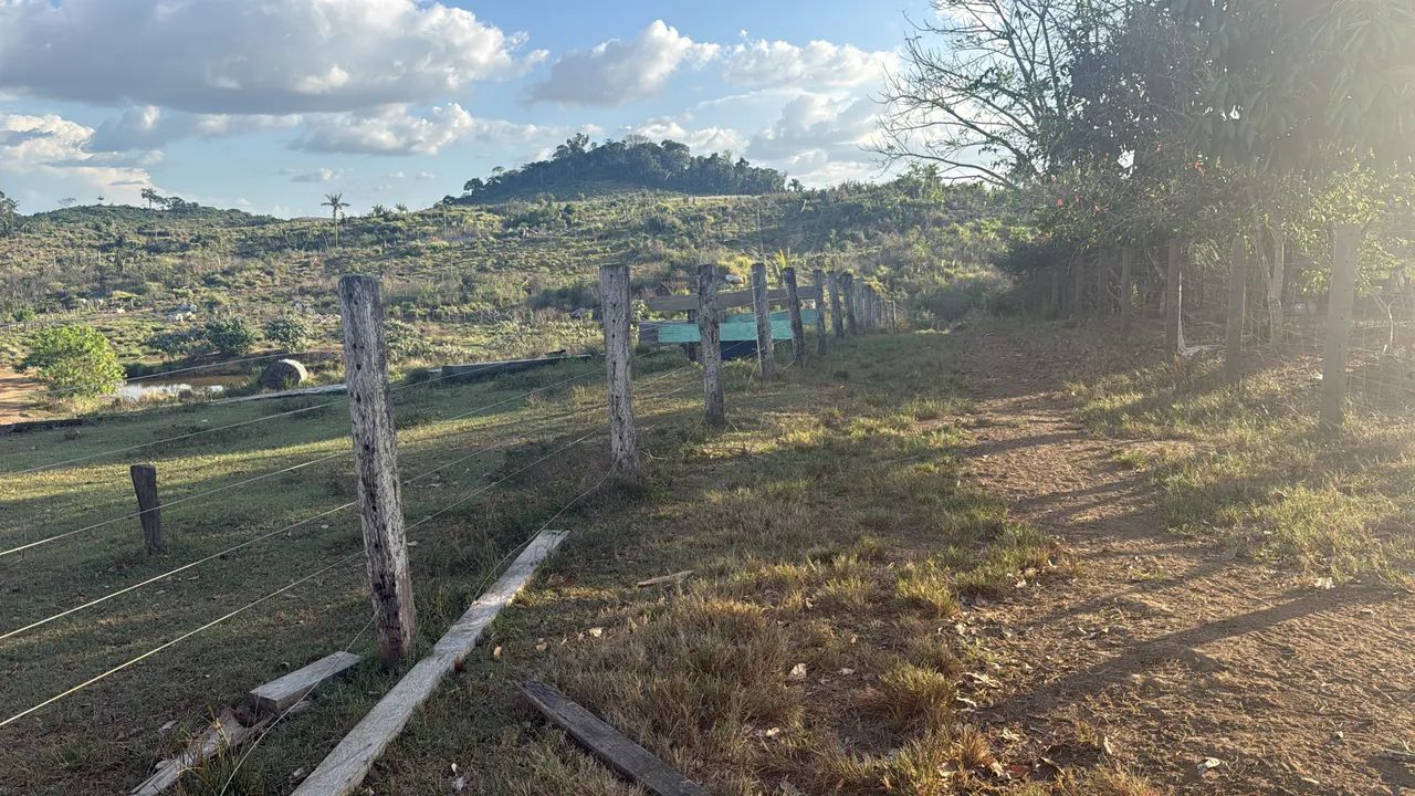 Fazenda 43 alqueire  - Foto 3