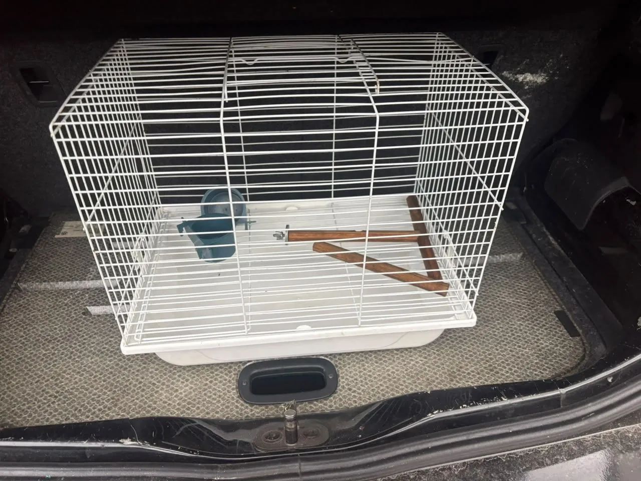 gaiola de hamster