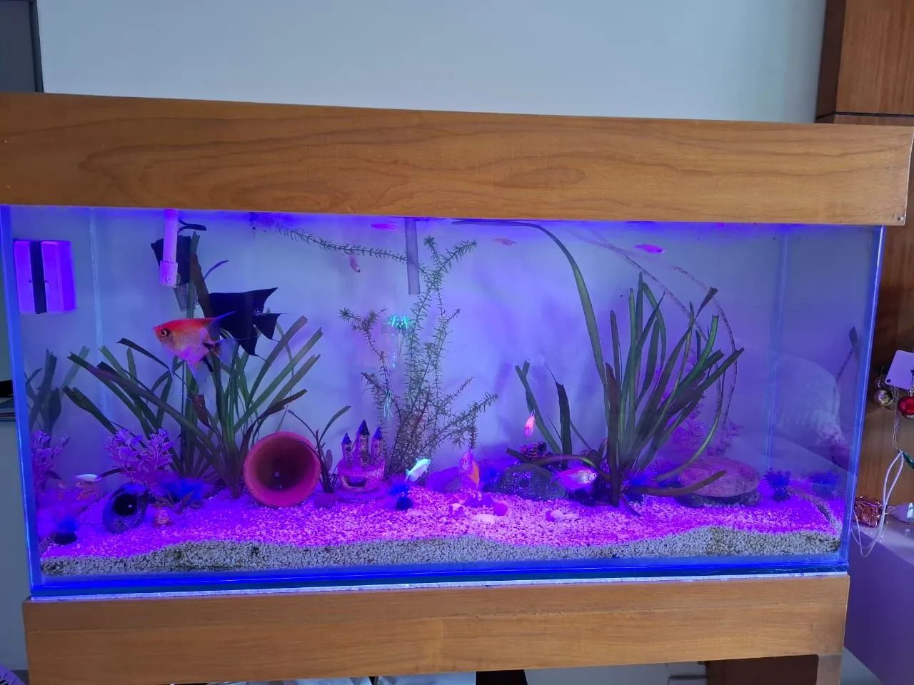 Aquário 100cmX30cmX45cm 136 litros