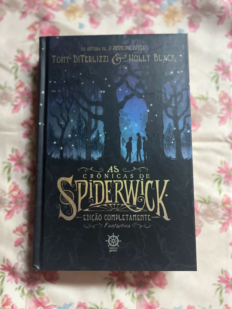 Livro Crônicas de SpiderWick 