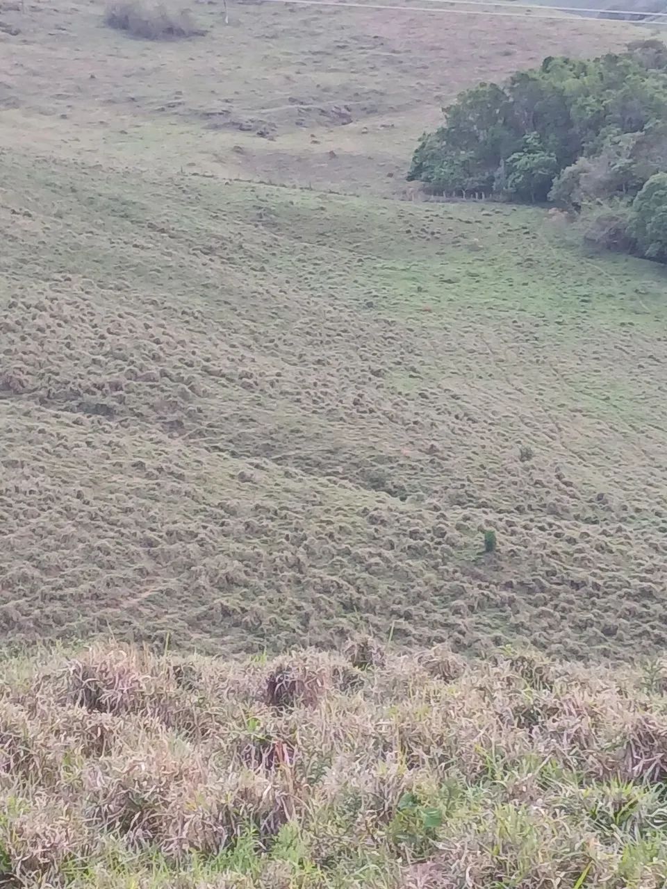 Vendo terreno 