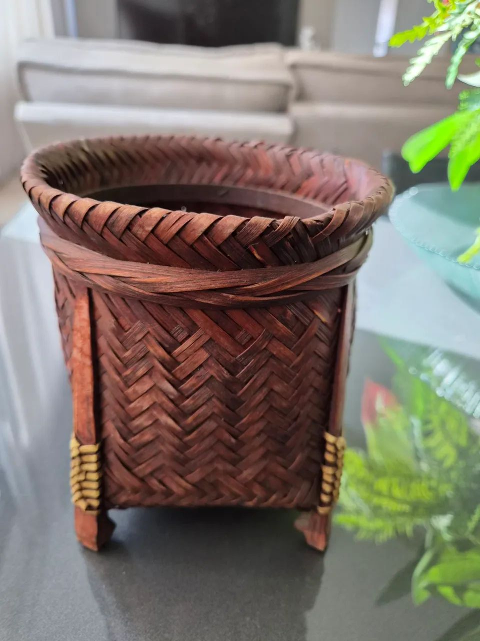 Vaso de planta