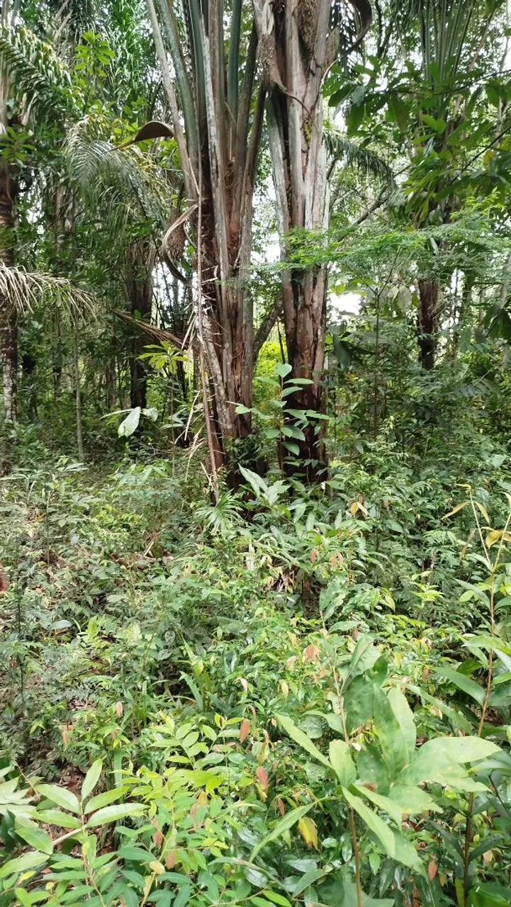 Chácaras na região do Coco Salviano - Foto 4