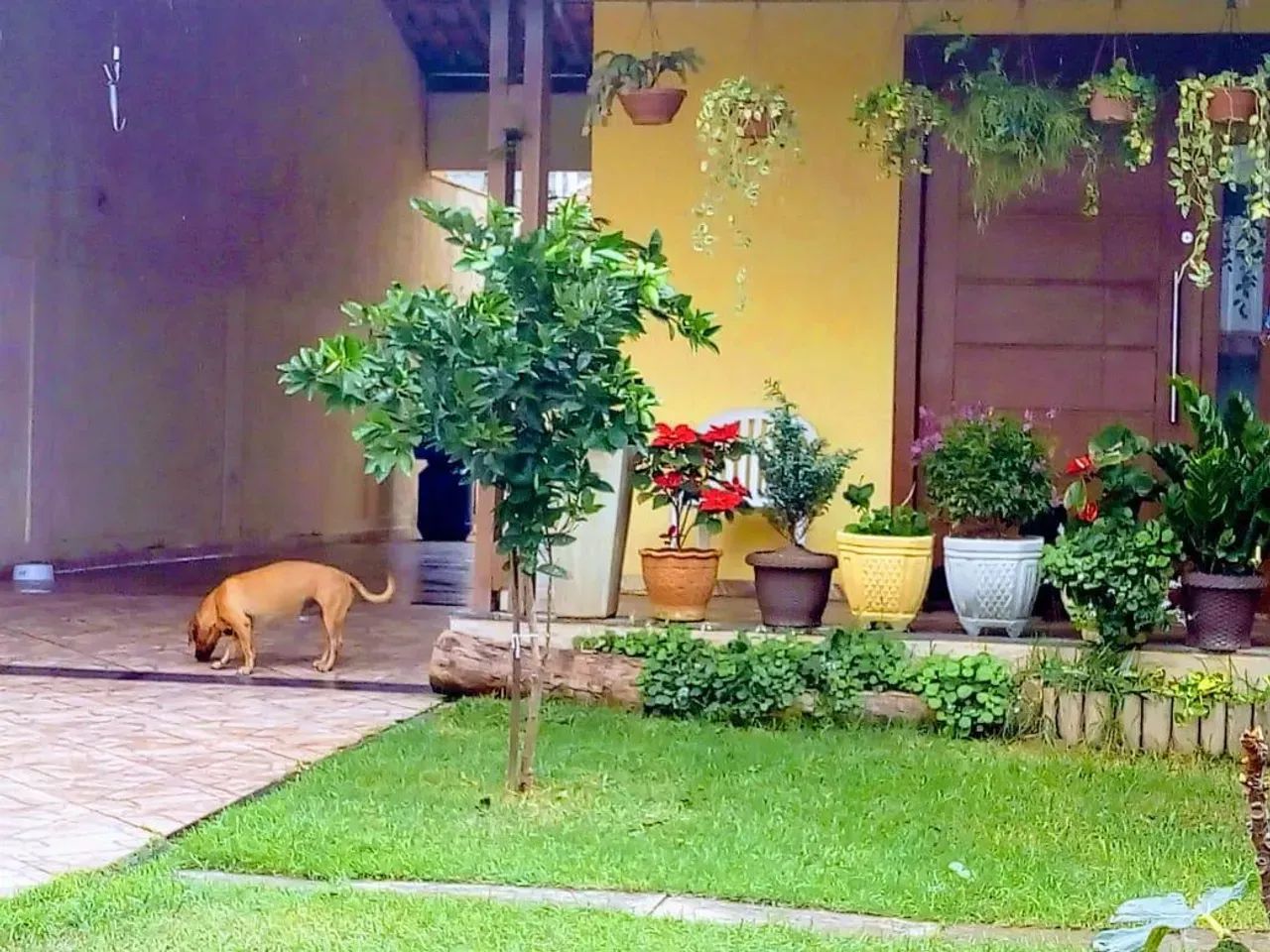 CASA INTERLAGOS - 240m2 CONSTRUIDO - 4 QUARTOS/SUITE - Foto 3