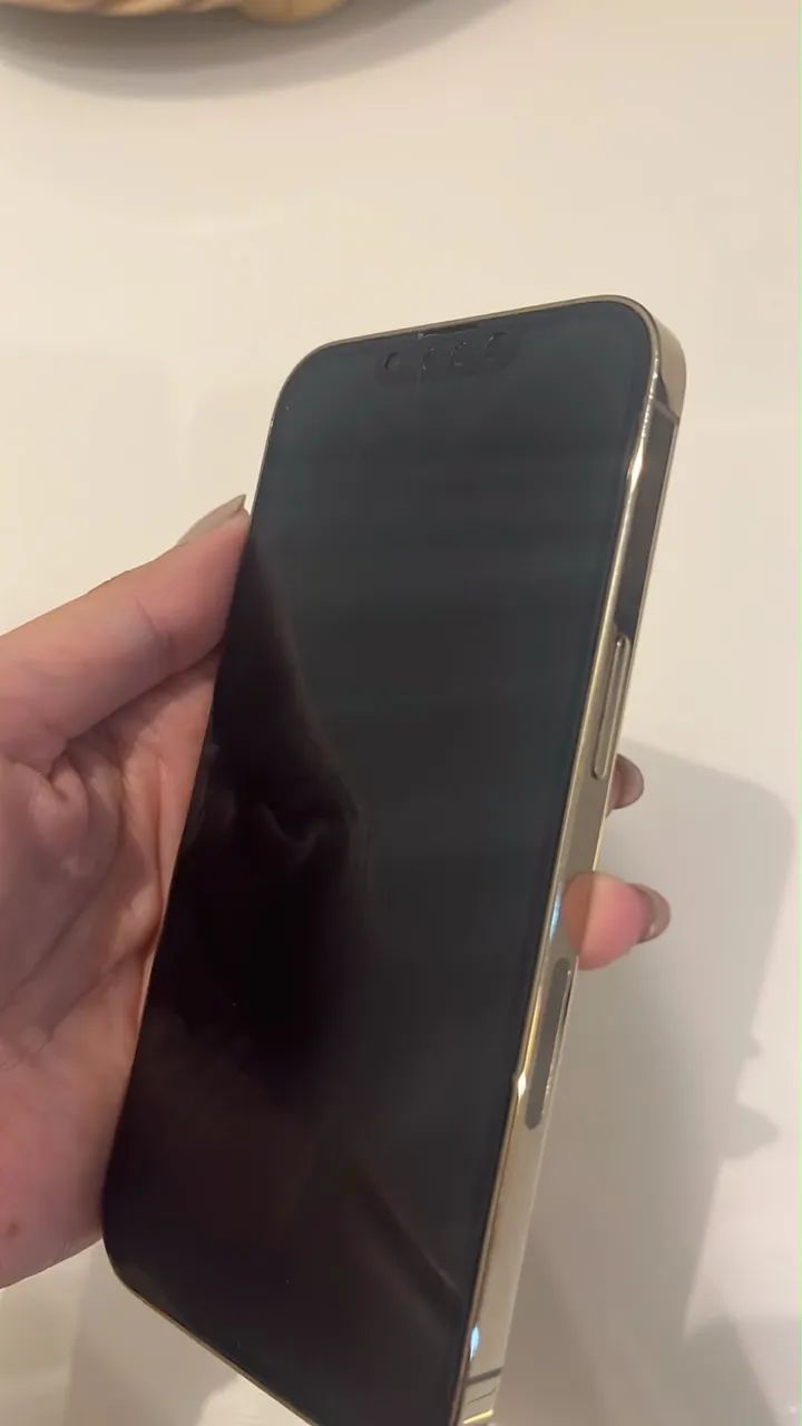 iPhone 13 Pro