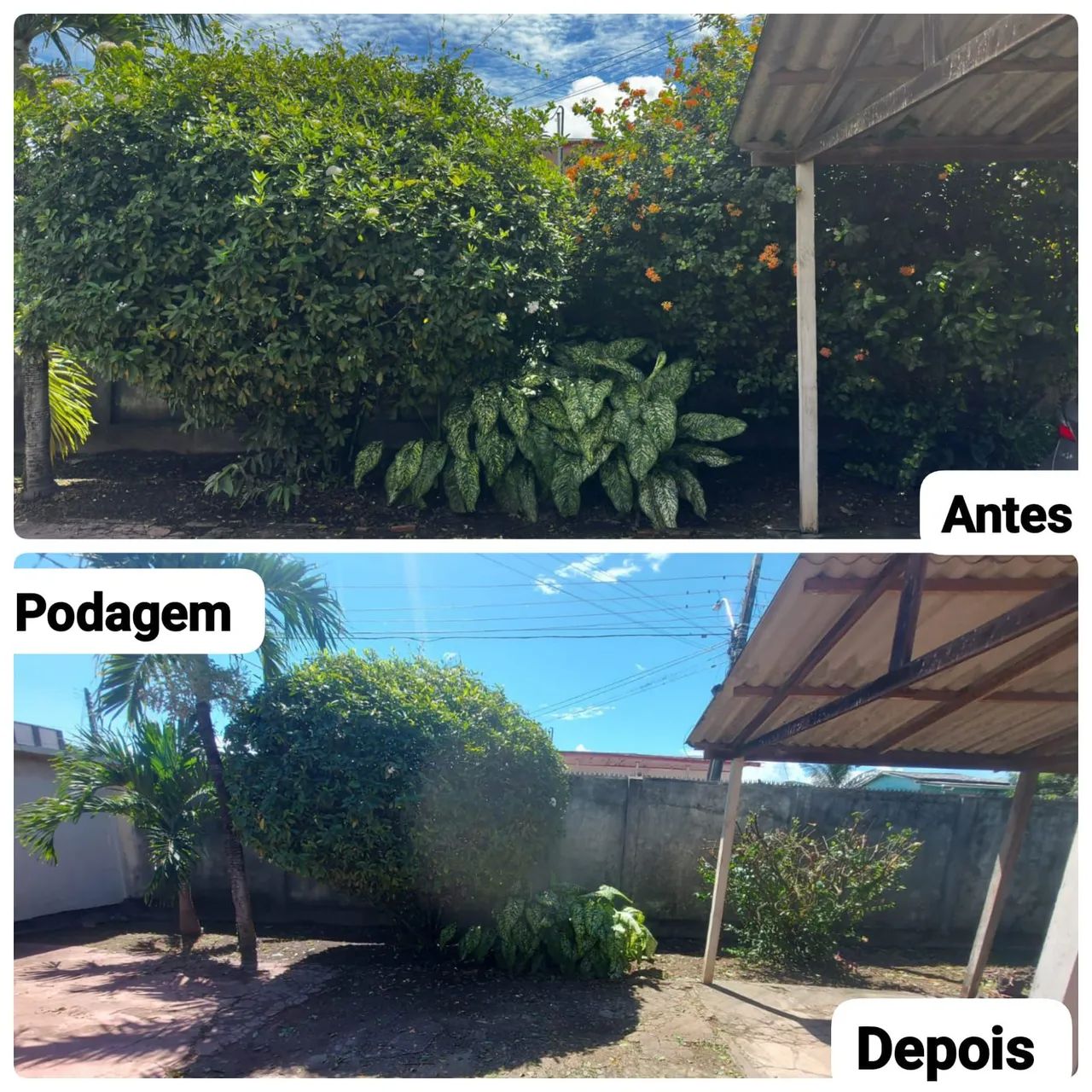 Jardineiro e paisagista  - Foto 2