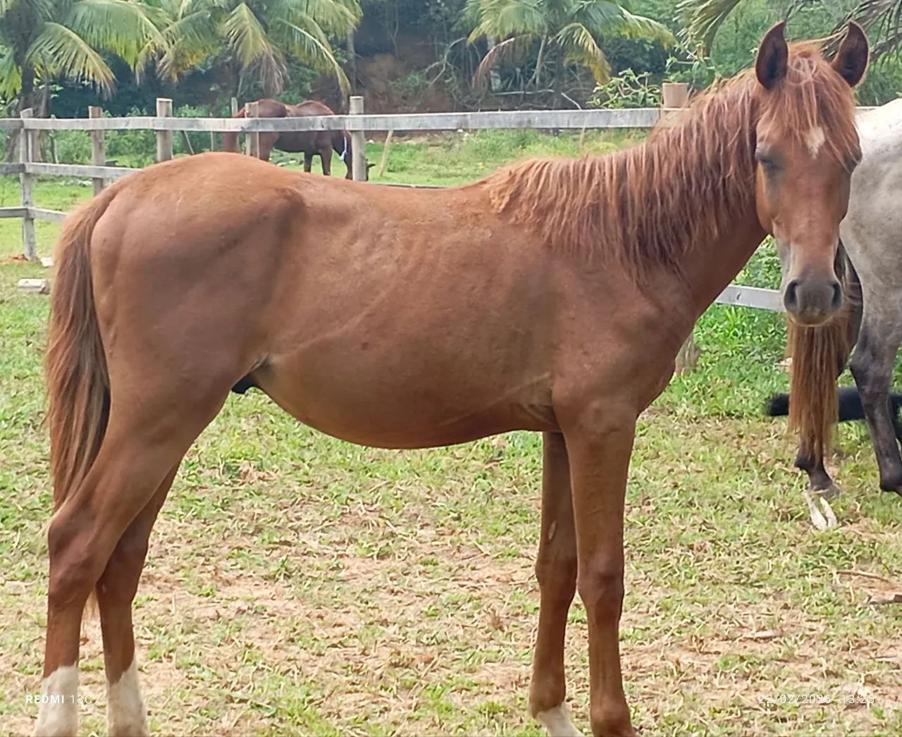 Vendo ou negocio  - Foto 2