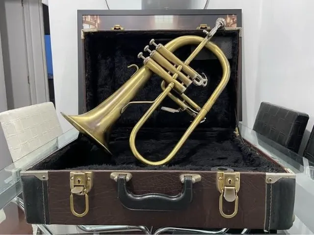 Flugelhorn Dolphin Sib - Instrumentos musicais - Barro Preto, Belo