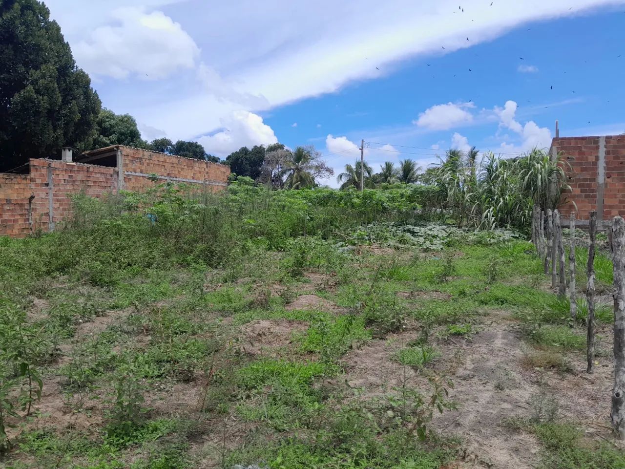 VENDE-SE TERRENO EM ITAPORANGA