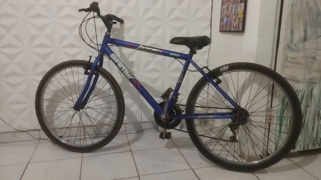 bicicleta 