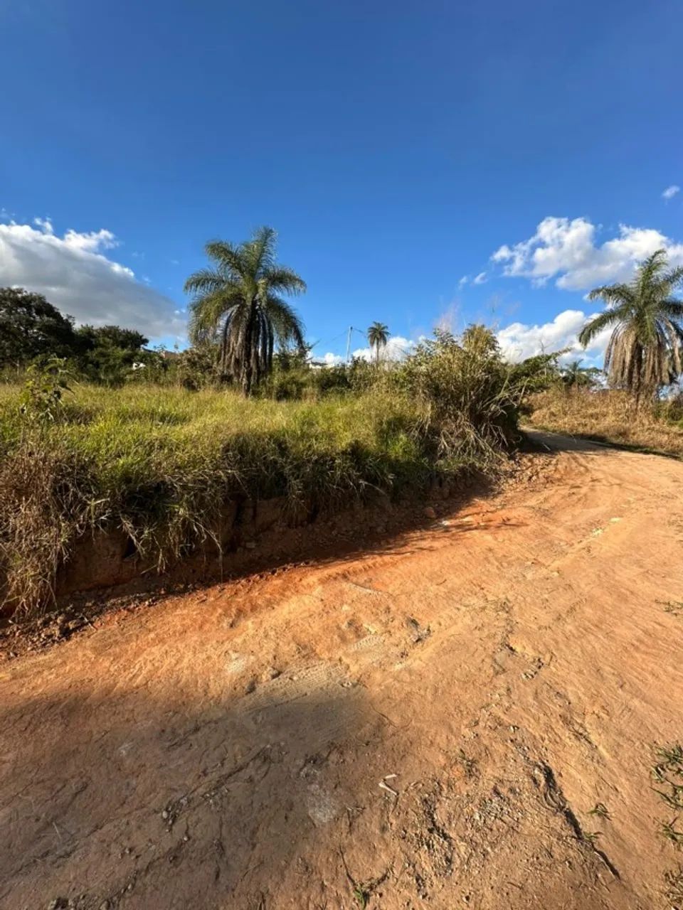 lote - Foto 5