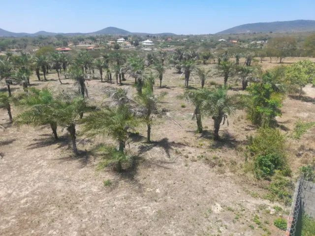 LOTE DE 13068M²