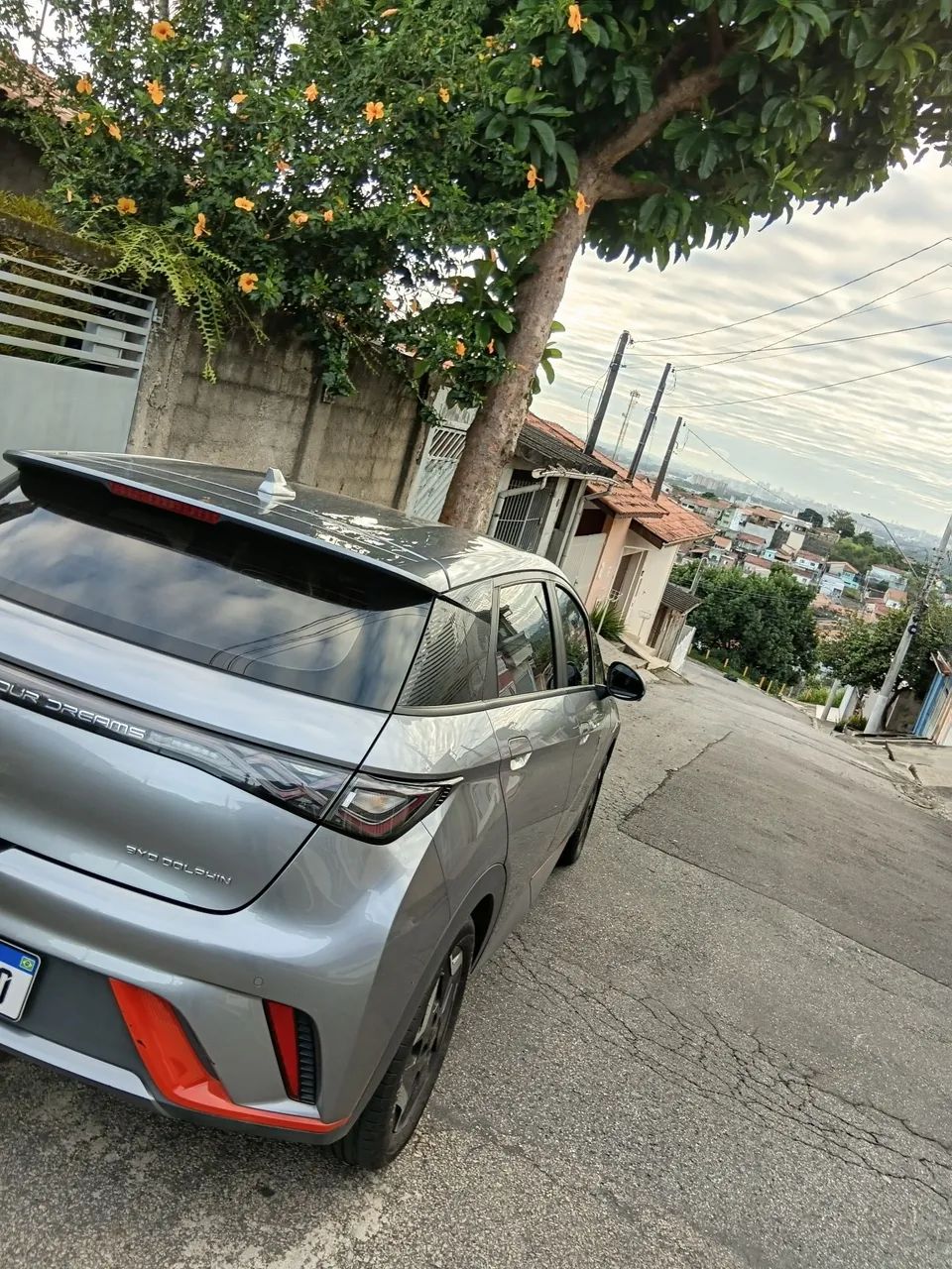BYD Dolphin EV (Elétrico) 2024