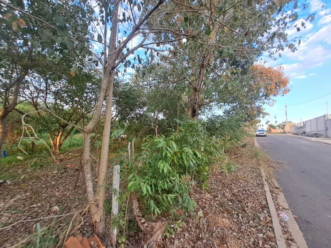 TERRENO - JATOBA/ IMPERIAL VG - Foto 2