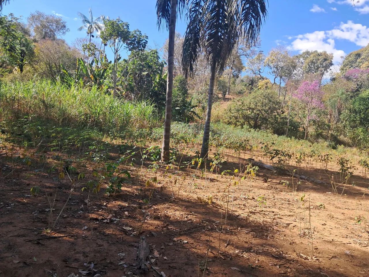Chácara  - Foto 4